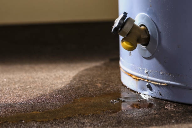 Best Carpet water damage restoration  in Newhall, IA