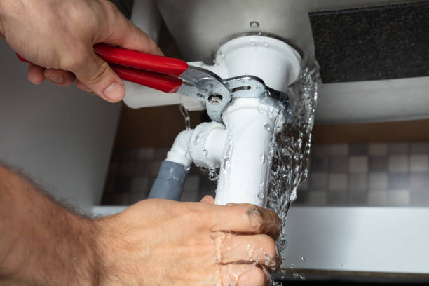 Best Water damage cleanup near me  in Newhall, IA