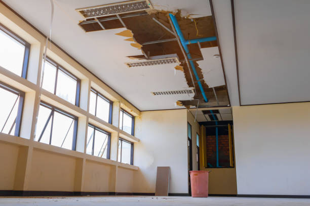 Best Flood restoration services  in Newhall, IA