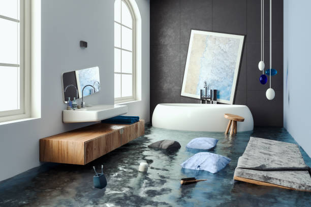 Best 24/7 water damage repair  in Newhall, IA