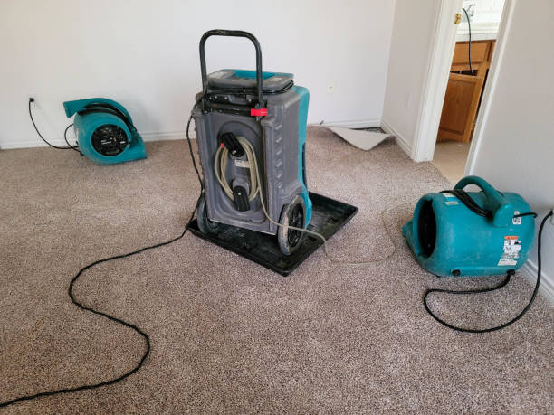 Water damage restoration experts in Newhall, IA