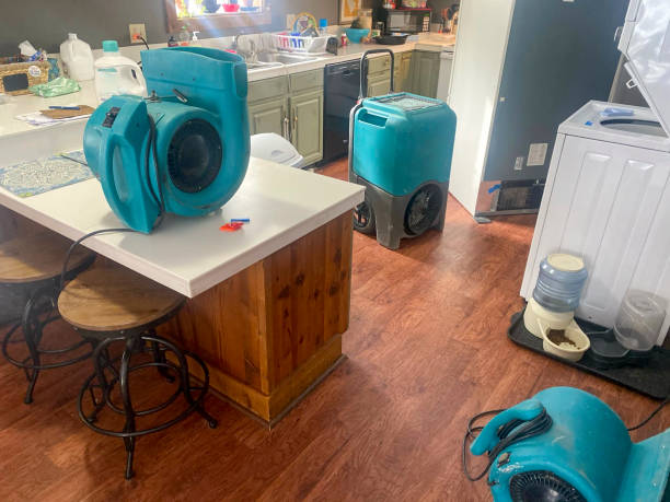 Best Residential water damage restoration  in Newhall, IA