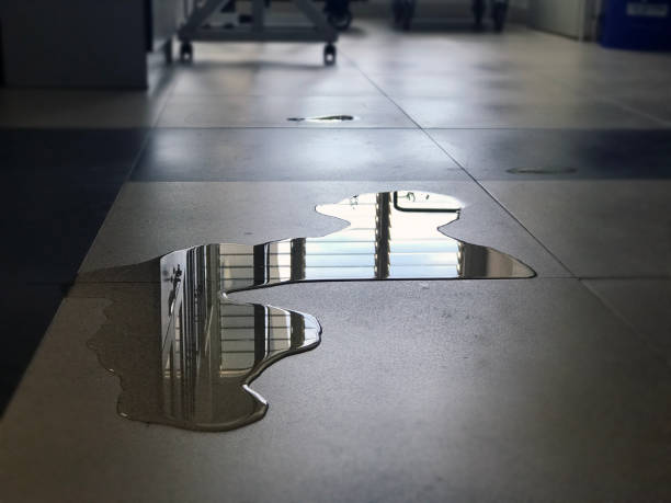 Best Commercial water damage restoration  in Newhall, IA