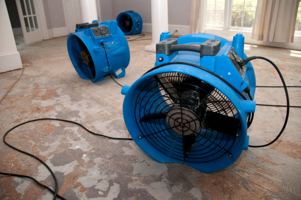Best Flooded house restoration  in Newhall, IA