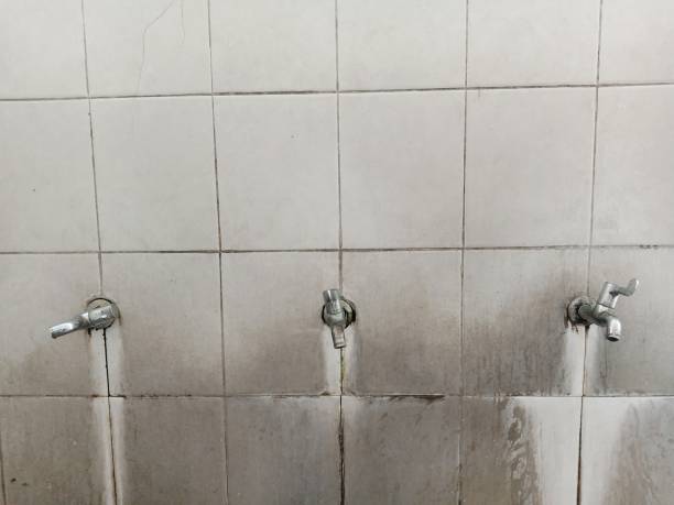 Best Professional water damage repair  in Newhall, IA
