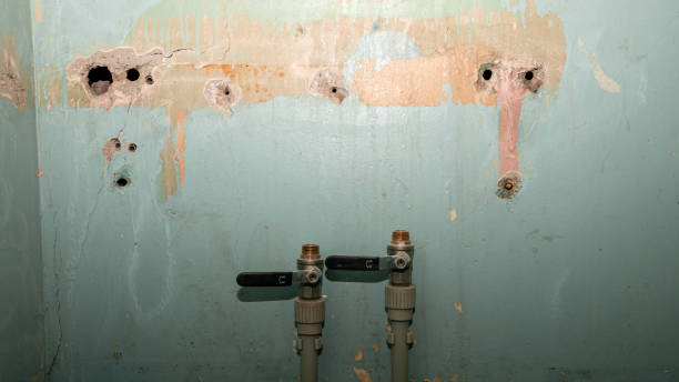 Best Flood damage cleanup  in Newhall, IA