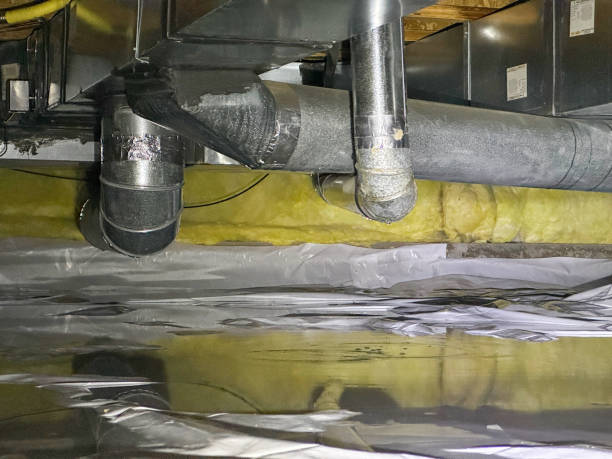 Carpet water damage restoration in Newhall, IA