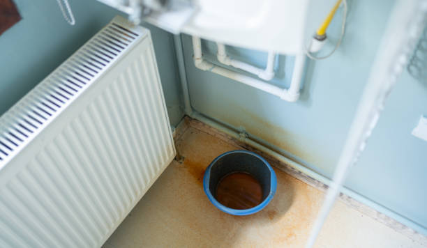 Best Mold removal after water damage  in Newhall, IA
