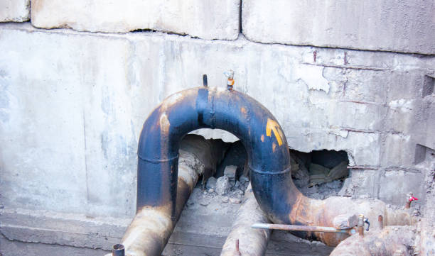 Best Water damage restoration mold remediation  in Newhall, IA