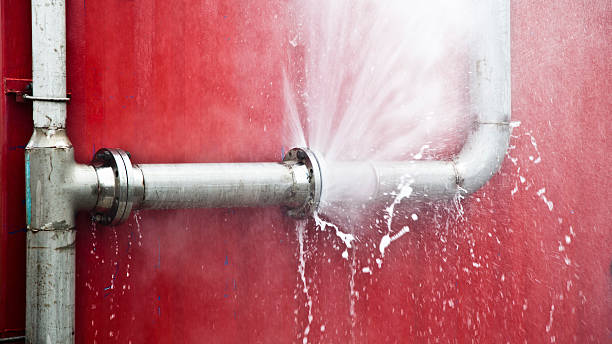 Best Water damage restoration services  in Newhall, IA