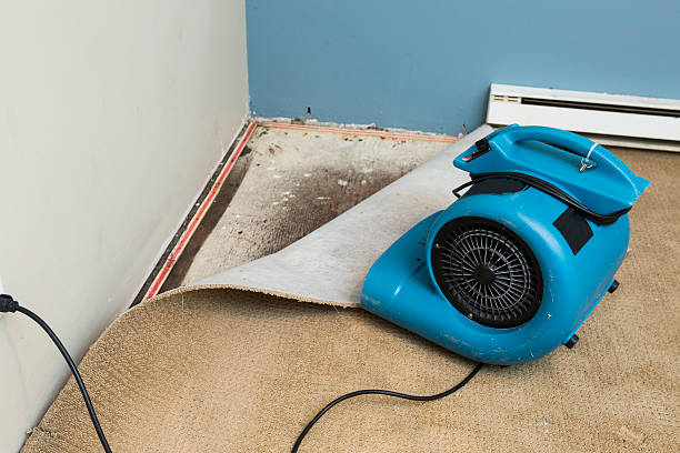  Newhall, IA Water damage restoration Pros